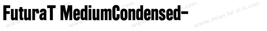 FuturaT MediumCondensed字体转换
